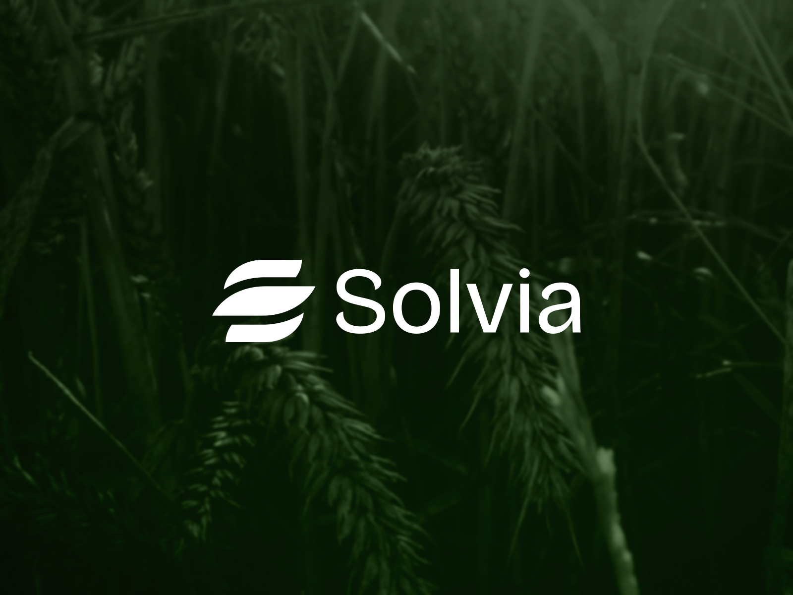 Solvia cover image